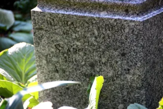 Master file0000061337