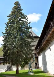 Master file0000059908