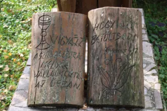 Master file0000067733