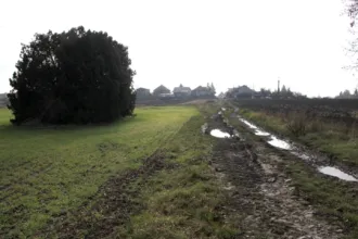 Master file0000061565