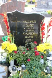 Master file0000060821