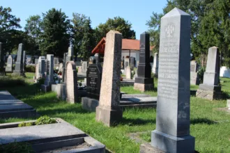 Master file0000058390