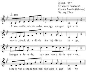 Master file0000051404