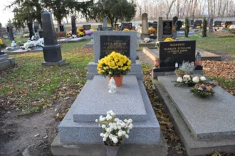 Master file0000065800