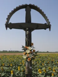 Master file0000060885