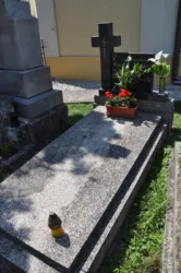 Master file0000078941