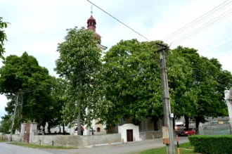 Master file0000061724