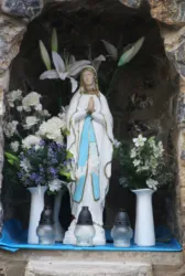 Master file0000059822