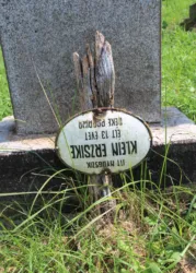 Master file0000059772