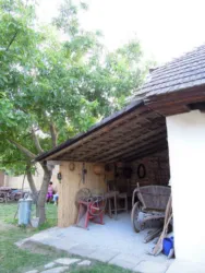 Master file0000058132