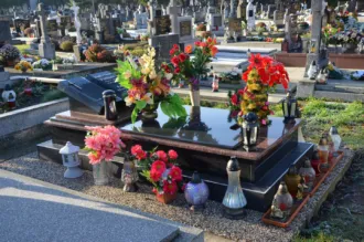 Master file0000073963