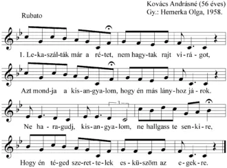 Master file0000051313