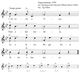 Master file0000051969