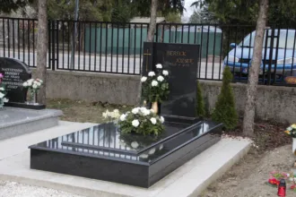 Master file0000059230