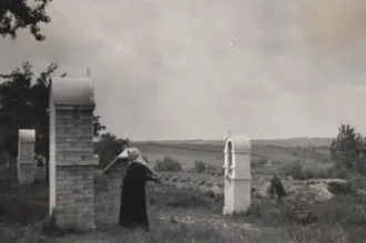 Master file0000054313