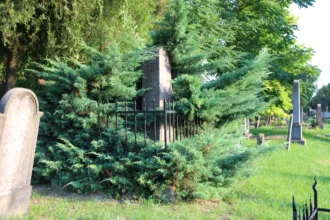 Master file0000059599