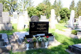 Master file0000058140