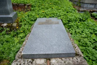 Master file0000059417