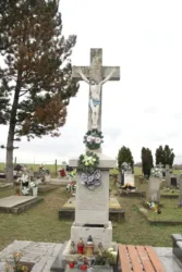 Master file0000065053