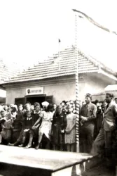 Master file0000055554