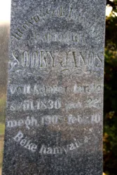 Master file0000059152