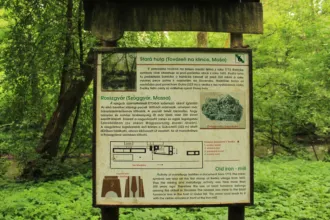 Master file0000038481