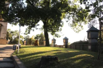 Master file0000062024