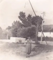 Master file0000081961