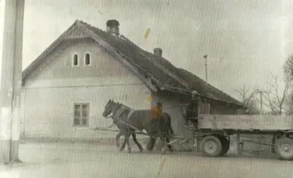 Master file0000081966