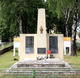 Master file0000058156