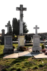 Master file0000065320