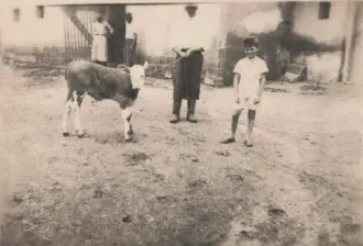 Master file0000054285