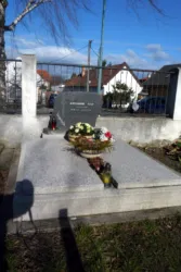 Master file0000060196