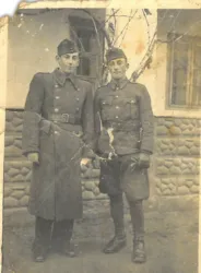 Master file0000080747