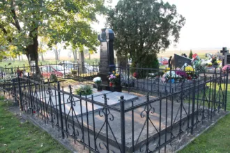 Master file0000063723