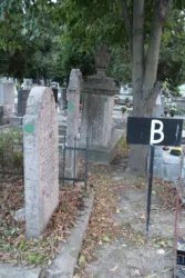 Master file0000063253