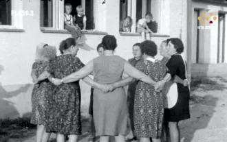 Master file0000049456