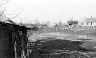 Master file0000054342