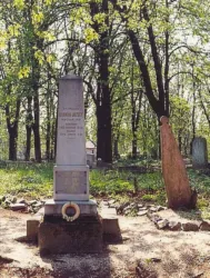 Master file0000058482