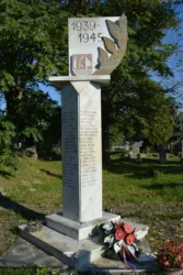 Master file0000058795