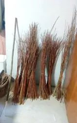 Master file0000038632