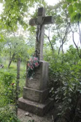 Master file0000058111