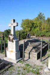 Master file0000067179