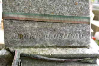 Master file0000060720