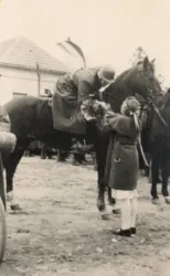 Master file0000054724