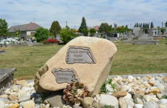 Master file0000063647