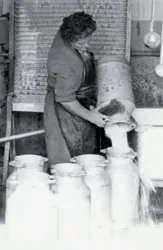 Master file0000057135