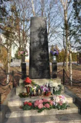 Master file0000064146