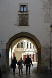 Master file0000059055