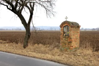 Master file0000062868